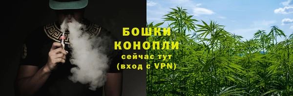ECSTASY Гусь-Хрустальный