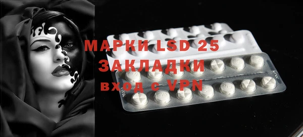 ECSTASY Гусь-Хрустальный