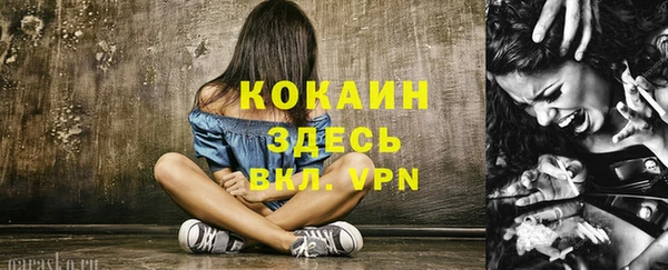 ECSTASY Гусь-Хрустальный