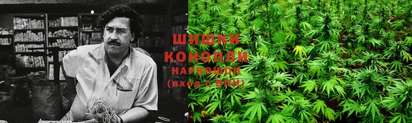 mdma Гусиноозёрск