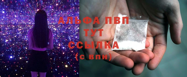 ECSTASY Гусь-Хрустальный