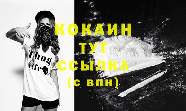 2c-b Гусев