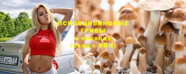 2c-b Гусев