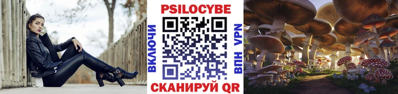 Купить  Керчь  Псилоцибиновые грибы ЛСД 